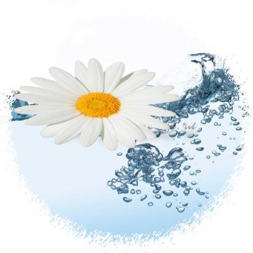 Гидролат Ромашки  