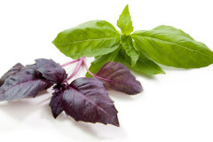 СО2 экстракт  Базилика водорастворимый