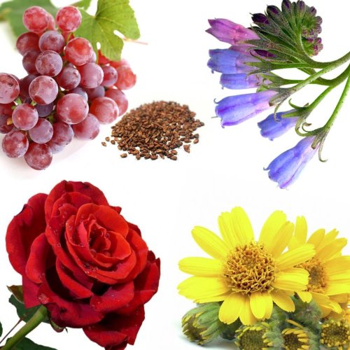 Купаж №74 CO2 экстракт против растяжек (водорастворимый)  