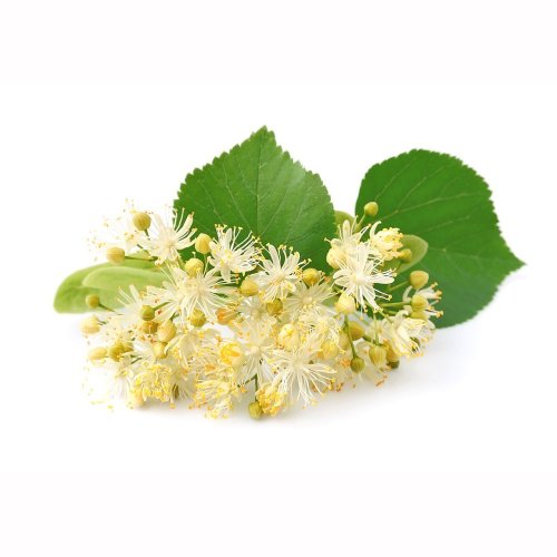 Гидролат Липы  